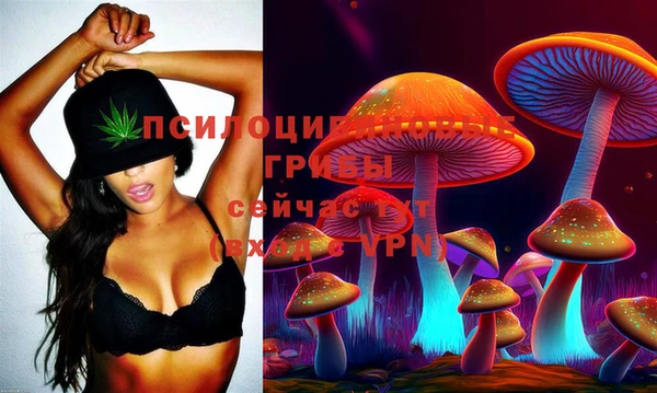 первитин Горно-Алтайск