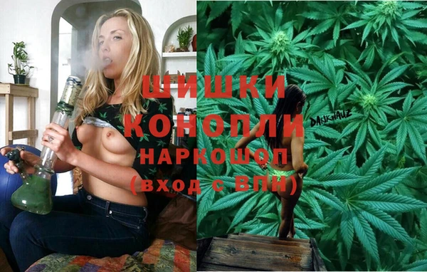 spice Вязьма