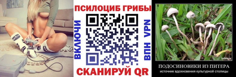 Галлюциногенные грибы Magic Shrooms  где можно купить   Дмитров 